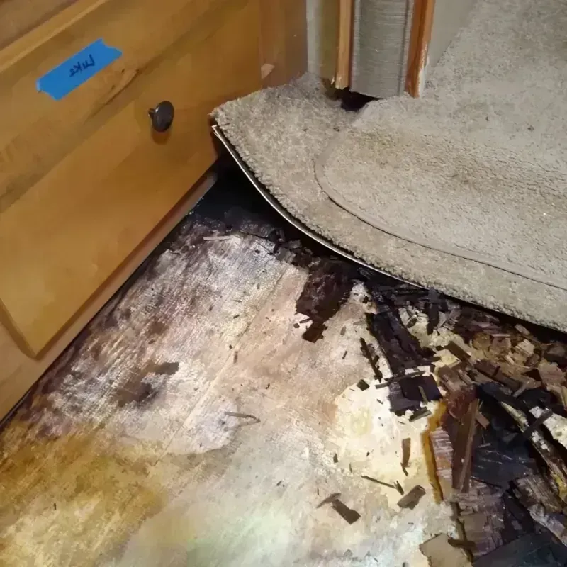 Wood Floor Water Damage in Twin Lake, MI